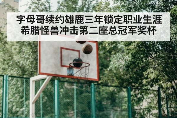 basketball training