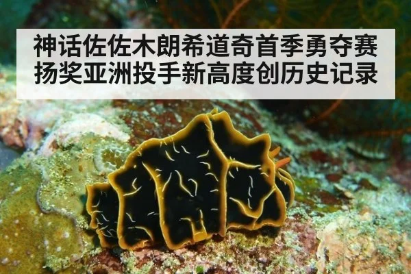 神话佐佐木朗希道奇首季勇夺赛扬奖亚洲投手新高度创历史记录