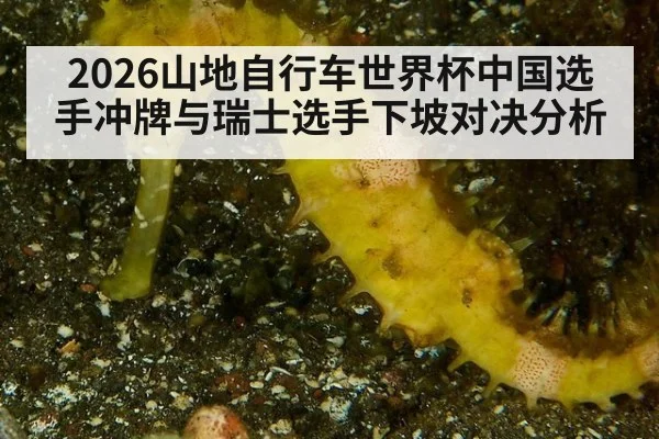 2026山地自行车世界杯中国选手冲牌与瑞士选手下坡对决分析